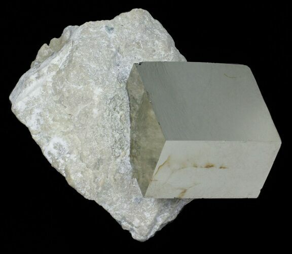 Golden Pyrite Cube In Rock - Navajun, Spain #57752